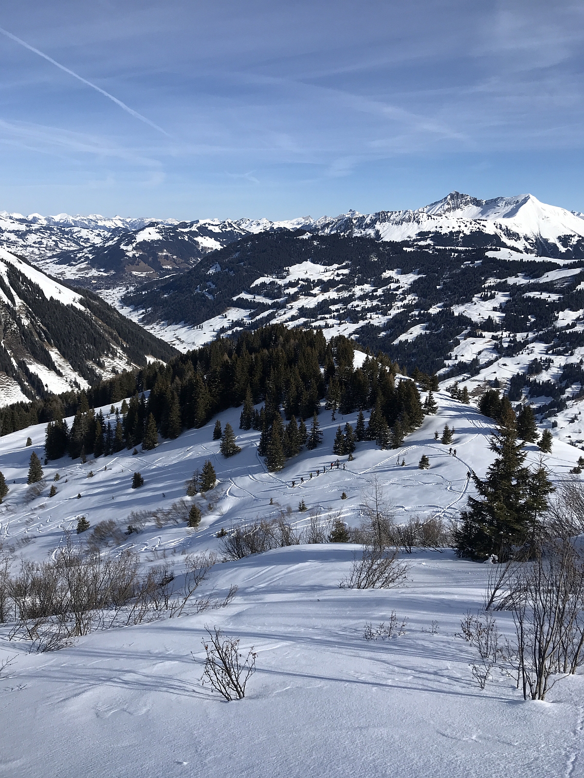 09_12. Feb 22_G Skitour Walighuerli (149).jpg